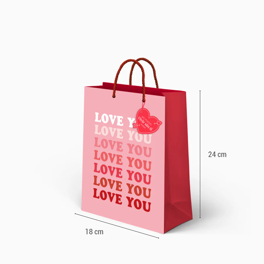 Bolsas Regalo Cartón Pequeña 18 x 10 x 24 cm San Valentín - Image 5