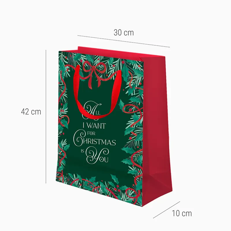 Bolsas Regalo Grandes Cartón Navidad 30 x 10 x 42 cm All I Want For Christmas - Image 6
