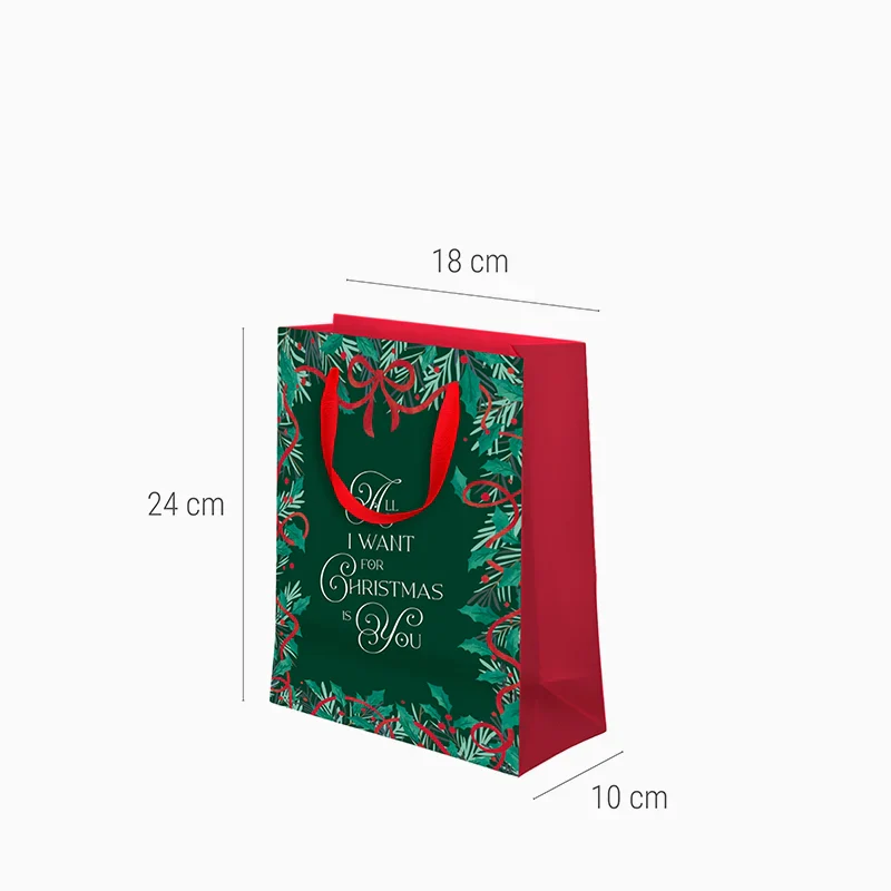 Bolsas Regalo Pequeñas Cartón Navidad 18 x 10 x 24 cm All I Want For Christmas - Image 6