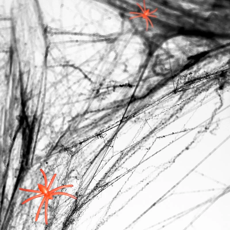 Telaraña de Halloween Negro 60 g